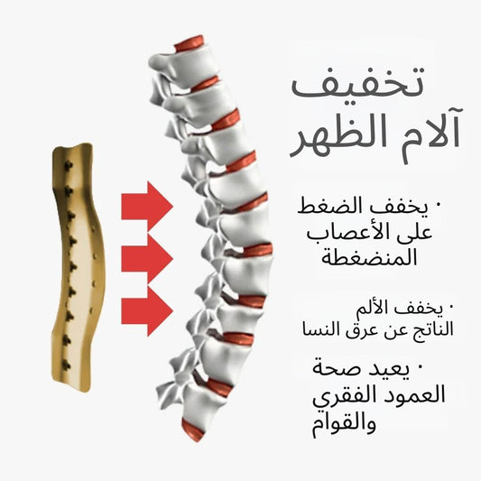 حزام دعم أسفل الظهر – راحة فورية وثبات قوي